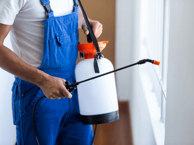 About Office Building Treatments Brazoria - office building treatments experts in Brazoria